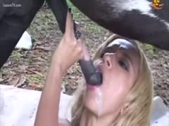 Cum thirsty amateur sluts taking cumshots from horses